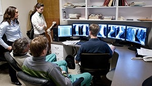 Vets viewing multiple xrays of horses leg