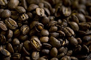 Close up of roasted coffee beans