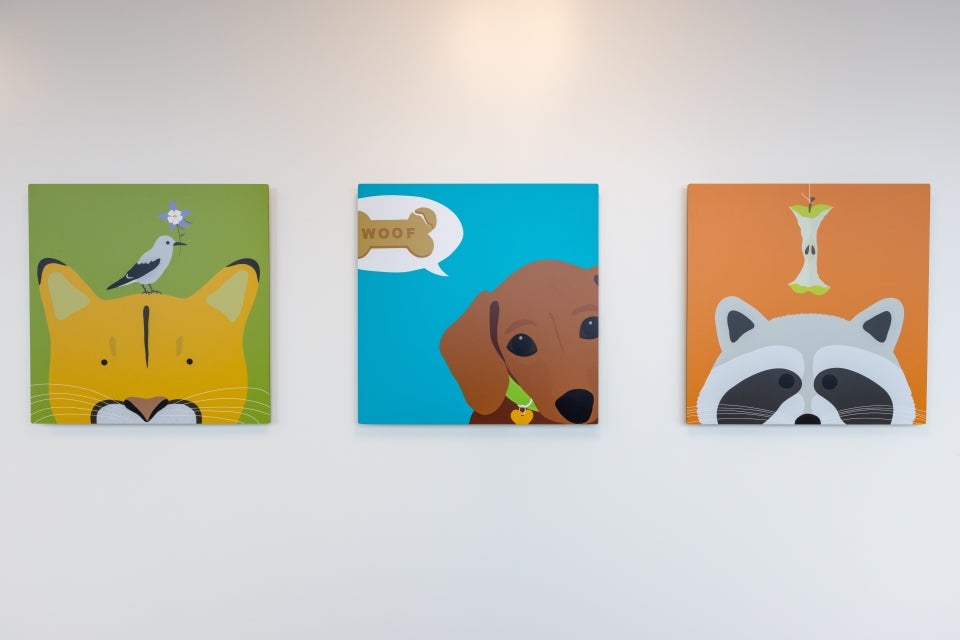 Cartoonish paintings of a cat with a bird on its head on the left, a dog with a thought bubble in the middle. The thought bubble is of a bone with the word 'woof' on it. The last painting on the right is of a racoon and an eaten green apple above its head.