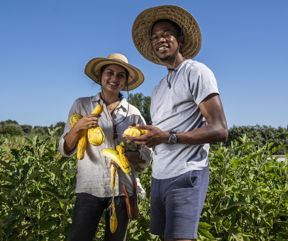 Two students wearing straw hats on a crop field while holding squashes.
