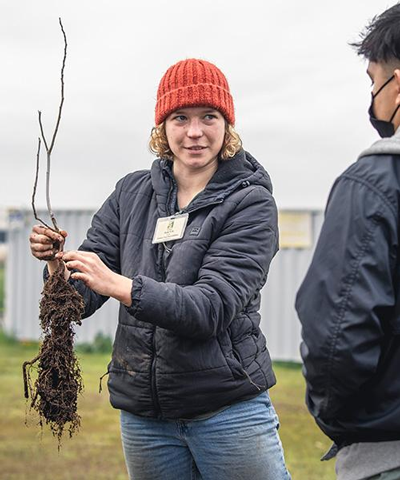 Sam Vitt wearing a puffer jacket and wool beanie holds a new plant with its roots exposed.