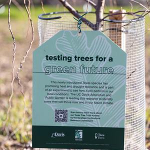 A tag hanging off a tree with a heading &#34;testing trees for a green future&#34;.