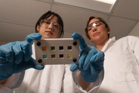 Leite (right) and graduate student Peifen Lyu, ’19, Ph.D. ’25, created a magnesium-based nanoscale optical device that can change color across several applications, such as a coating for pills.