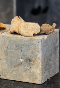 Small mortar blocks of geopolymer concrete are made with discarded almond hulls.