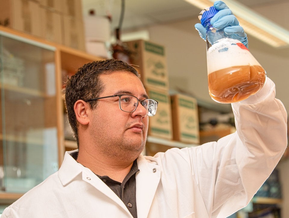 Augustine Arredondo, a postdoctoral scholar wearing a white lab coat, glasses and blue latex gloves holds up a beaker with liquid in it to inspect it.