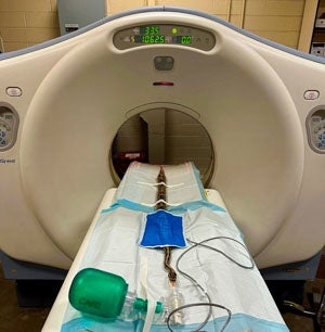 Monty, a 9-year-old male ball python strapped and hooked up to receive a CT scan.