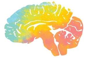 A multicolor illustration of a brain.