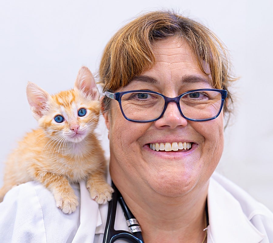 Dr. Emily McCobb wearing black rimmed glasses, a white coat and a stethoscope poses with an orange tabby kitten on her shoulders.