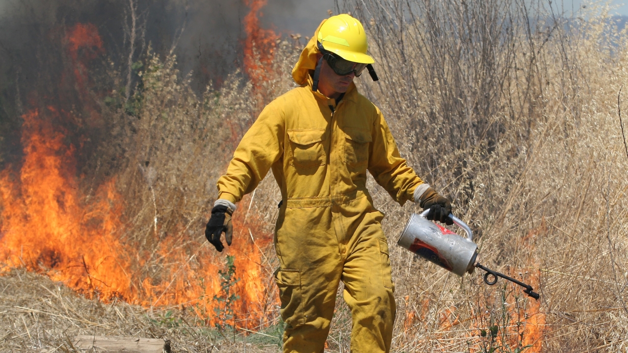 Prescribed burning