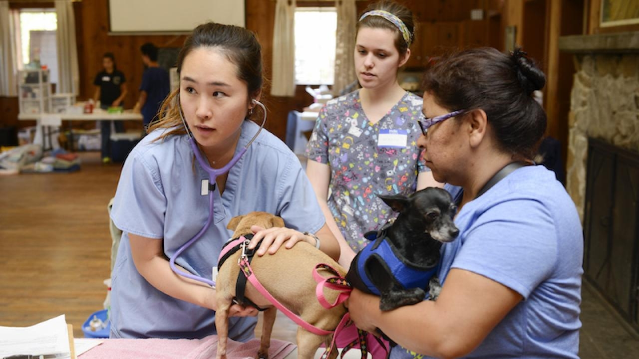 UC Davis personnel associated with the Knights Landing One Health Center provide complimentary veterinary care to a community member and her dogs.