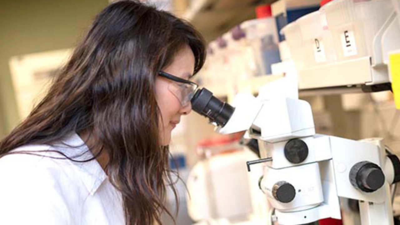 Female scientist in a white lab coat with protective glasses looking into a microscope in a lab.