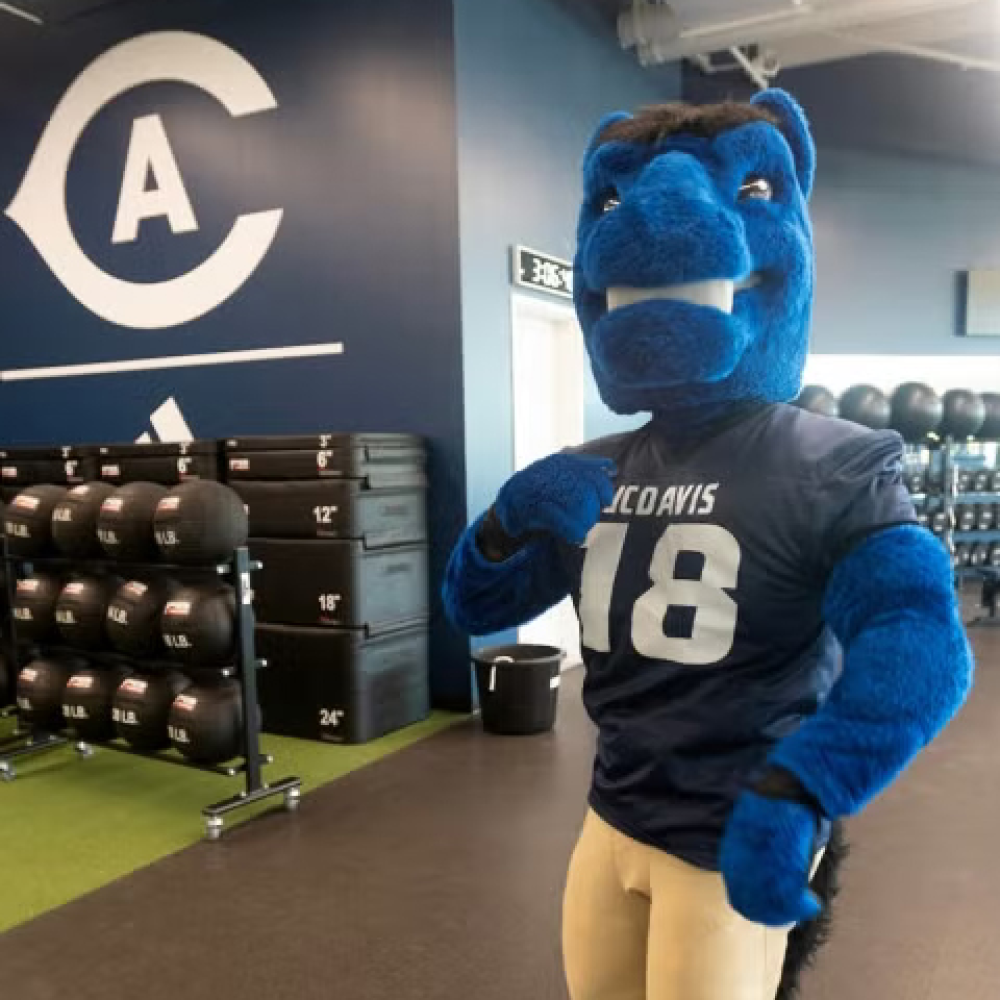 Gunrock, the blue horse mascot, posing in the gym training room.