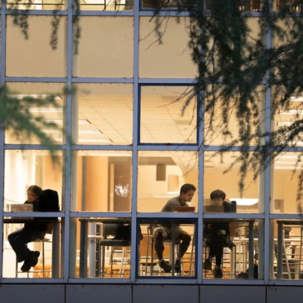 Students studying on laptops while seated by glass windows of Shields Library.