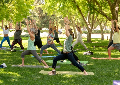 A group of staff do yoga on Mrak Lawn.