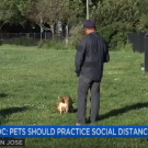 Person and dog outside