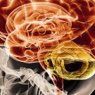 Image of a brain 