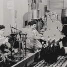 Historic photo of champagne being bottled in a plant in the 1950's.